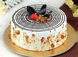 Regular Cakes in New Delhi