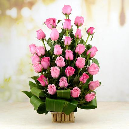 Beautiful Pink Roses