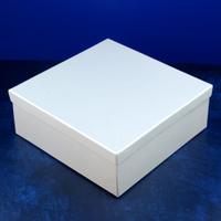 White Gift Box